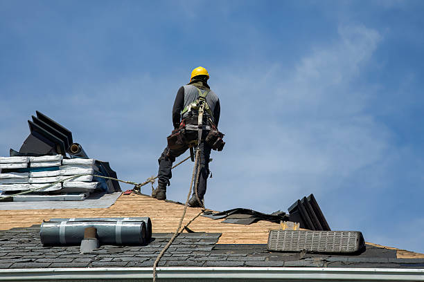 Professional Roof Replacement technician working in Maysville, GA
